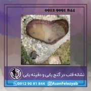 نشانه قلب در گنج یابی