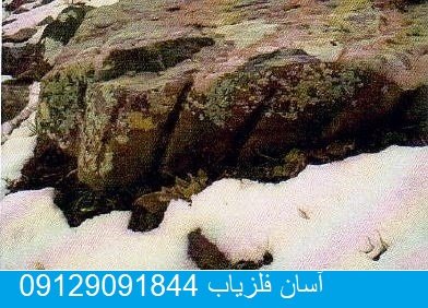 خط خطوط