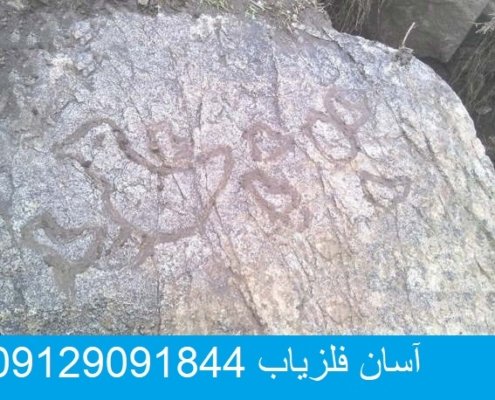 نشانه مرغ جوجه