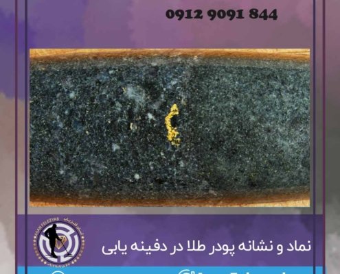 پودر طلا