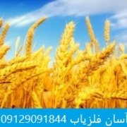 نشانه یونجه