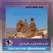 نشانه شتر